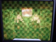 Angeh�ngtes Bild: DSCF1194_1.jpg