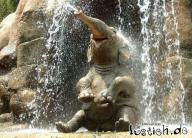 Angehngtes Bild: 15056_froelicher_elefant.jpg