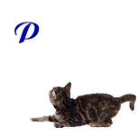 Angeh�ngtes Bild: Peter.gif