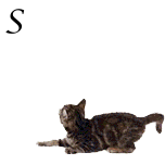 Angeh�ngtes Bild: sonja.gif