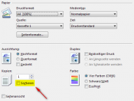 Angeh�ngtes Bild: PrinterSettings.png