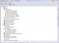 Angeh�ngtes Bild: Ger_temanager.PNG