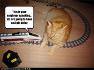 Angeh�ngtes Bild: 05309faf-c49a-4308-9e8d-b13a17f856f0.jpg