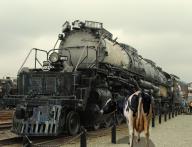 Angeh�ngtes Bild: Big_Boy_kuh.jpg