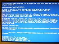 Angeh�ngtes Bild: CIMG2705.JPG