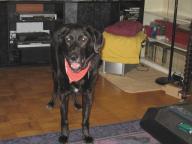 Angeh�ngtes Bild: IMG_0096_1.jpg