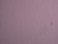 Angehngtes Bild: 2.jpg