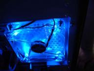 Angeh�ngtes Bild: potti1.jpg