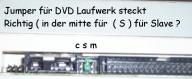 Angeh�ngtes Bild: DVD.JPG