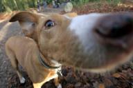 Angeh�ngtes Bild: utesvqor6cf8.jpg