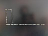 Angeh�ngtes Bild: Memtest3.jpeg