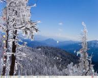 Angeh�ngtes Bild: Bild_008__Medium_.jpg