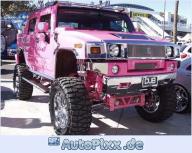 Angehängtes Bild: ein_hummer_in_pink.jpg