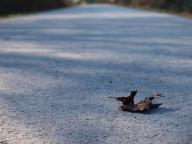 Angehngtes Bild: k_Dienstag__15.3__6_.JPG