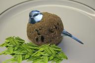 Angeh�ngtes Bild: meisenknoedel2.jpg