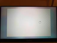 Angeh�ngtes Bild: 27032024 (1).jpg