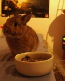 Angeh�ngtes Bild: MYDC0004.jpg