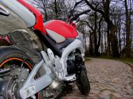 Angehngtes Bild: 4.jpg