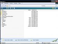 Angeh�ngtes Bild: Screenshot.jpg