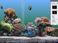 Angeh�ngtes Bild: fishshot.JPG