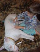 Angeh�ngtes Bild: image001.jpg