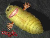 Angeh�ngtes Bild: maden_magda.jpg