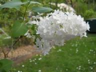 Angeh�ngtes Bild: DSCN1296.JPG