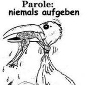 Angeh�ngtes Bild: nie_aufgeben.jpg