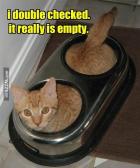 Angeh�ngtes Bild: i-doubled-checked-it-really-empty.jpg