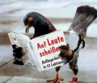 Angeh�ngtes Bild: taube.jpg