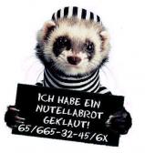 Angeh�ngtes Bild: pic28290.jpg