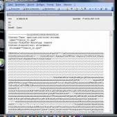 Angehngtes Bild: emil.jpg