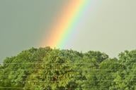 Angeh�ngtes Bild: regenbogen1.jpg