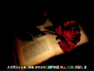 Angehngtes Bild: desk3.jpg