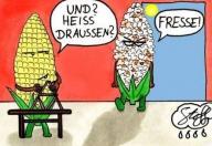 Angehngtes Bild: sommer.jpg