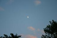 Angeh�ngtes Bild: IMG_2111.JPG