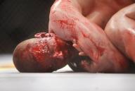 Angeh�ngtes Bild: 4902035632.jpg