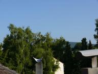 Angeh�ngtes Bild: wetter_f_r_den_osten.jpg