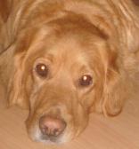 Angeh�ngtes Bild: Ronja.jpg