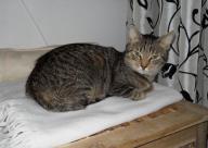 Angeh�ngtes Bild: 8524742_57300e.jpg