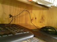 Angehngtes Bild: P300612_10.17.jpg