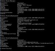 Angehngtes Bild: vista_Startmanager.jpg