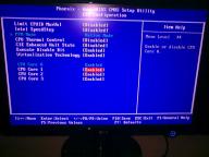 Angehngtes Bild: 18072009_001.jpg