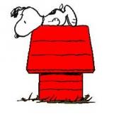 Angeh�ngtes Bild: dtggjy.jpg