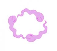 Angeh�ngtes Bild: joa.jpg