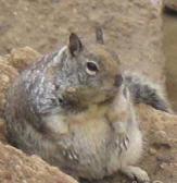 Angeh�ngtes Bild: n_.jpg