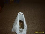 Angeh�ngtes Bild: IMG_0070.JPG