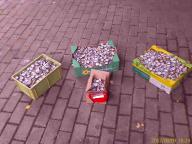 Angehngtes Bild: KK01_2.jpg