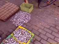 Angehngtes Bild: KK02_2.jpg