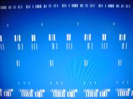 Angehngtes Bild: DSC00478.JPG